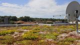ArchiGreen green roof reference project